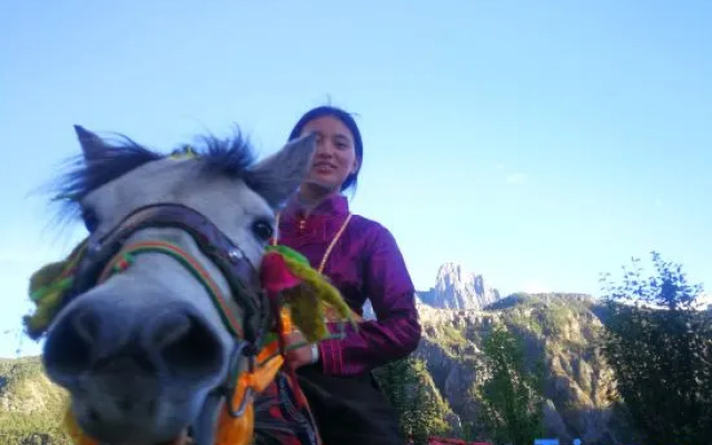 Daocheng Yading Sangjie Linka Luxury Homestay