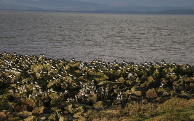 West End Bay