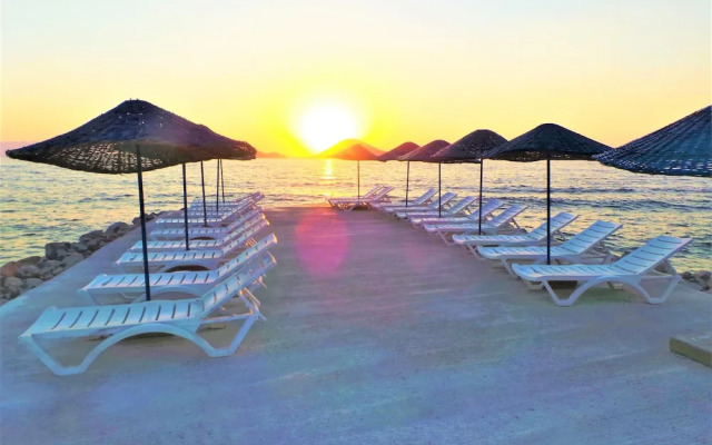 Sunset Mavi