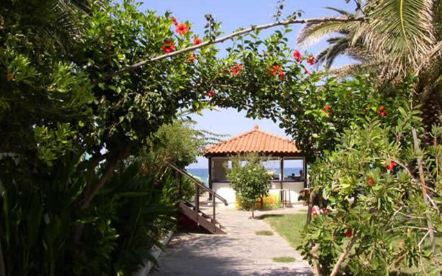Zeus Hotels Palm Beach