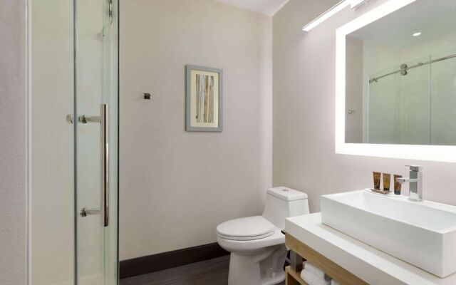 Vista Inn and Suites Murfreesboro