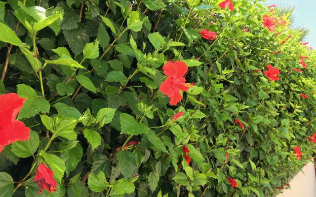 Villa Panorama - Stunning views in villa with hot tub, pool, garden