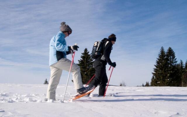 Ferienpark Geyersberg inklusive aktivCARD Bayerischer Wald