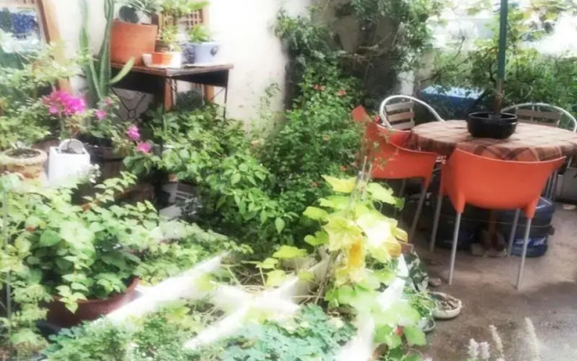 Lydia Craft Guesthouse