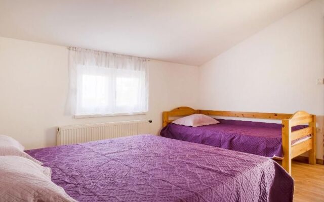 Apartments Danka