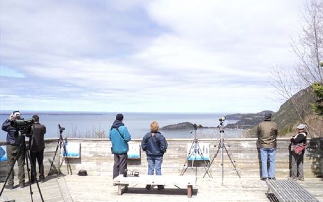 Les Rêves et Veillées