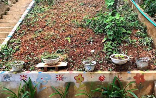 The Hill Sapa Homestay