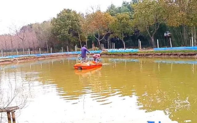 Shanghai Chenghuixiang Farm Stay