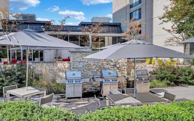 Modern Apartment At Crystal City