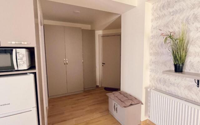 Delux apartment for 6 guest, new gudauri