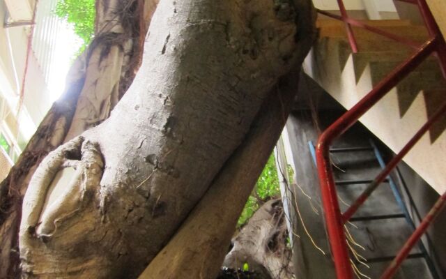 Shennong 147 Hostel