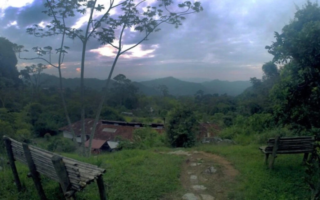 Finca Ecolodges El Ocelote