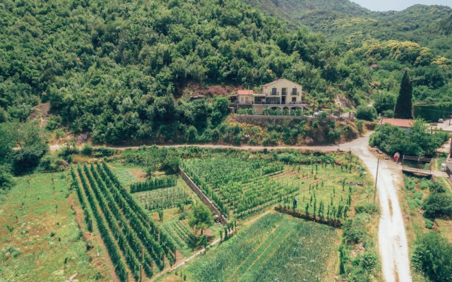 Rustic House Leković