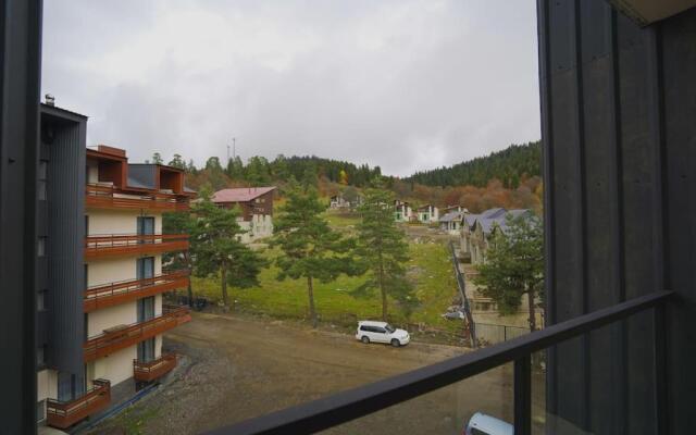 LEO GROUP Luxury Apartment 04-32 BAKURIANI INN