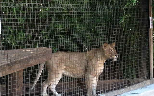 Candlewood Suites VICTORIA by IHG