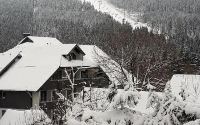 Ferienwohnung Steffens Hahnenklee Wohnung 25