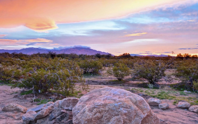 Hampton Inn & Suites Tucson Marana