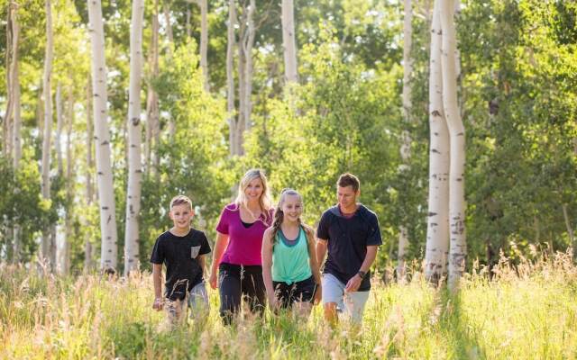 Updated Studio w Full Kitchen Spacious Living Room by RedAwning