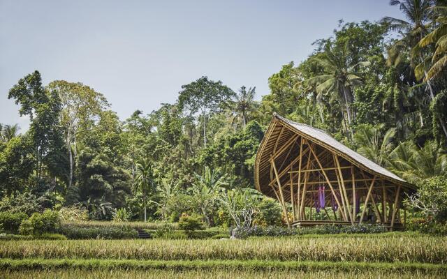 Four Seasons Resort Bali at Sayan