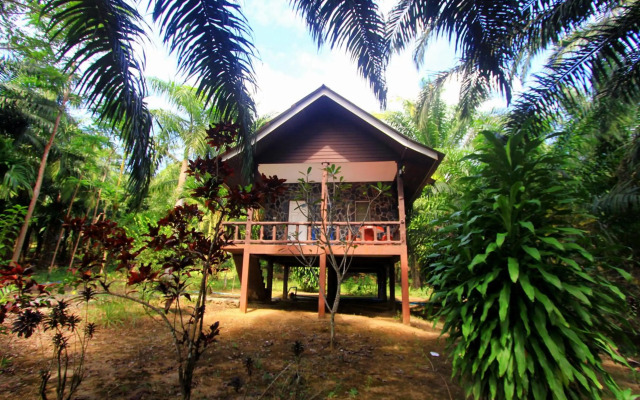 Khaosok Palmview