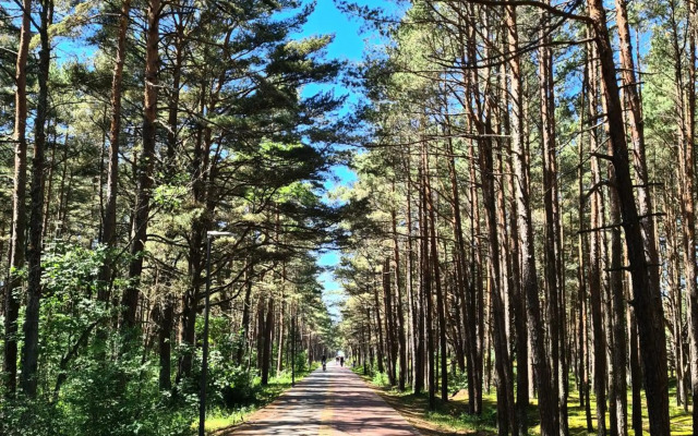 Sauleti Vanagupes apartamentai