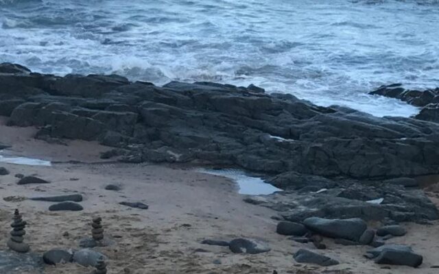 Beach Forest Lodge