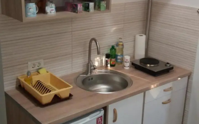 Single Suite Apartment