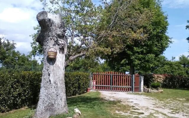 Al Bosco delle Api