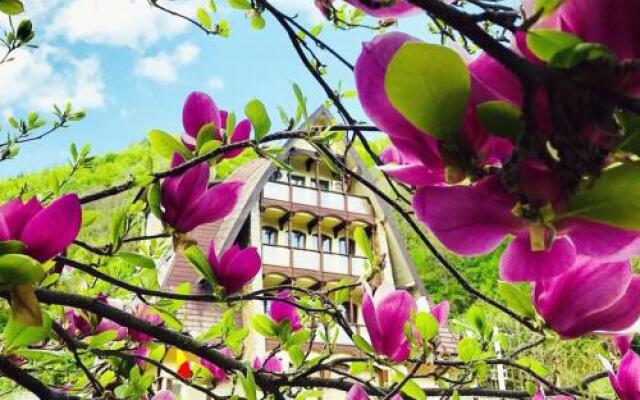 Pension Casa Vanatorilor