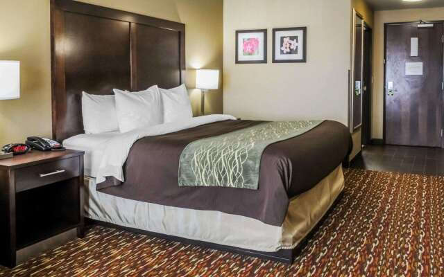 Comfort Inn & Suites Artesia