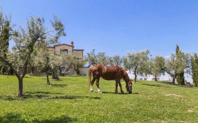 Agriturismo Le Bosche