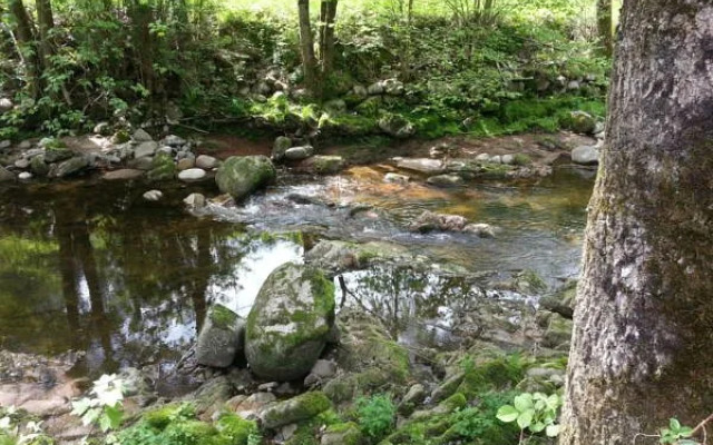 Pension Schwarzwaldblick