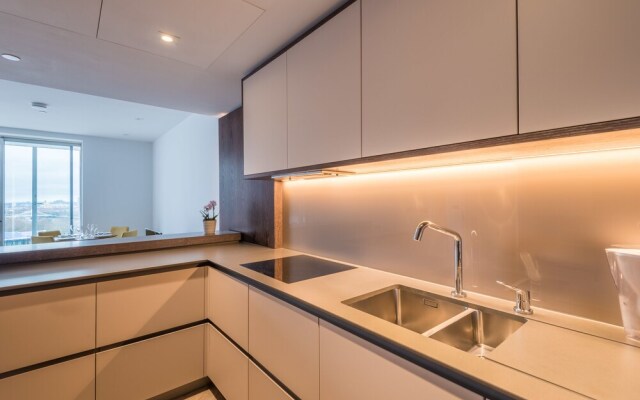 Luxury Apartment near Battersea Power Station