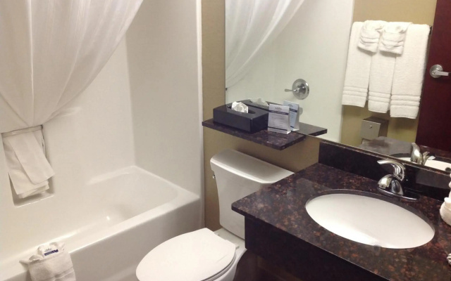 Garner Hotel Gonzales by IHG