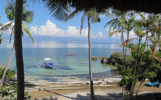 The Wild Orchid Resort - Moalboal