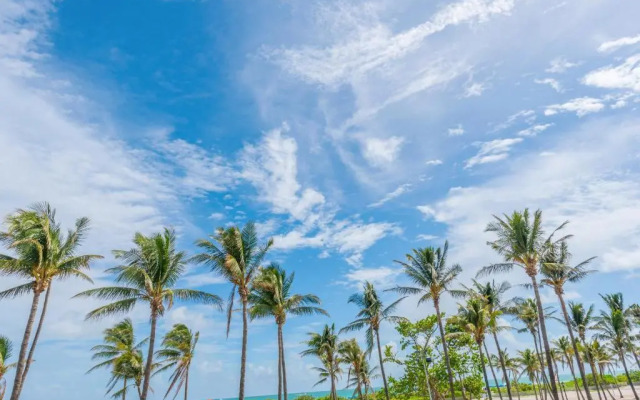 The Villas at Milano South Beach - 1 Bedroom Condo - SBR 54876