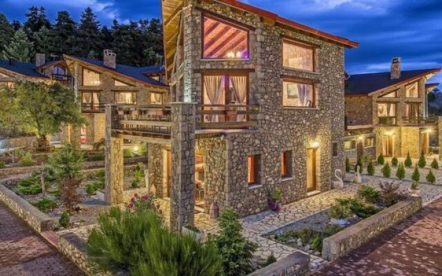 ViP Chalet 4 Seasons