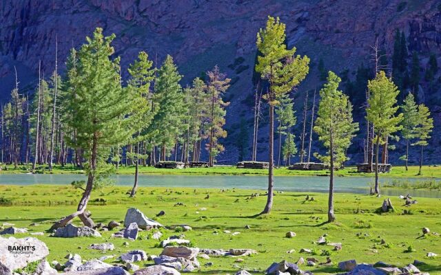 Shelton's Rezidor Swat