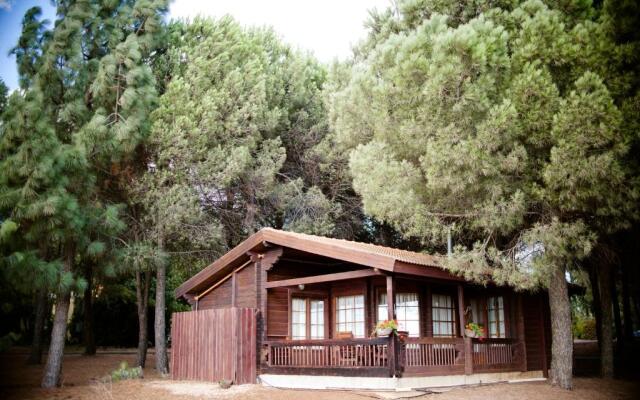 Kibbutz Ortal Tourism