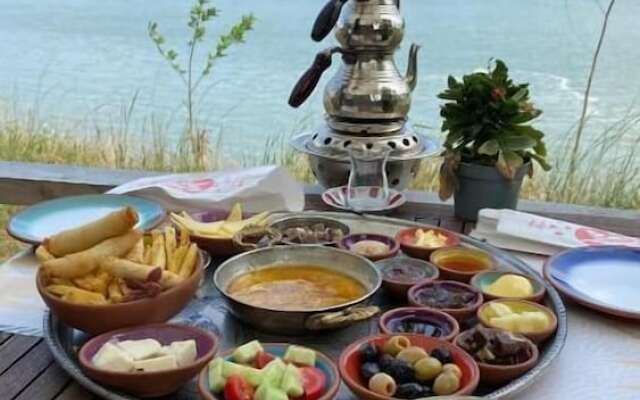 Danzi̇ Campi̇ng
