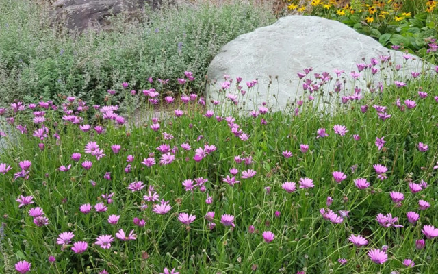 The Courtyard Apartments !!!!