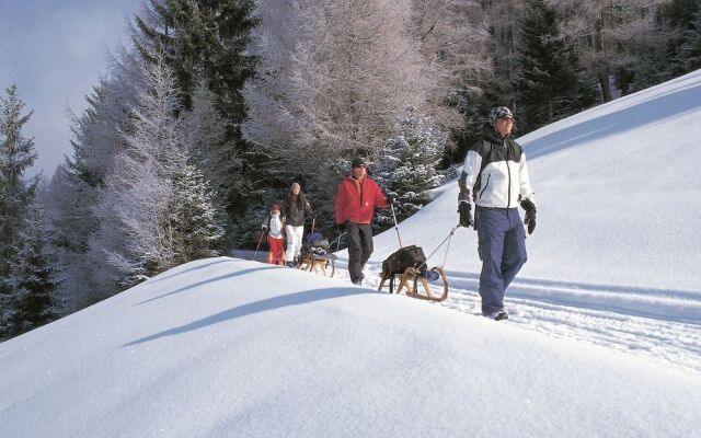 Cosy Apartment in Kutzbuhel, With Barbecue