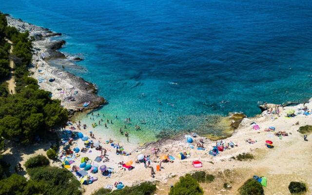 Luxury Villa Olivia with pool , 200m from the beach
