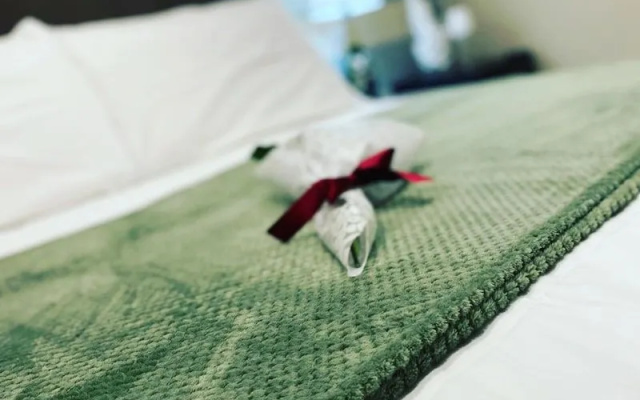 Viverone Lake Rooms