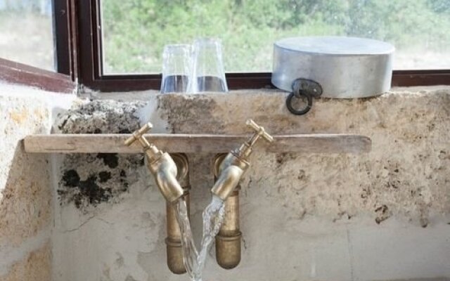 Lamia delle Libellule