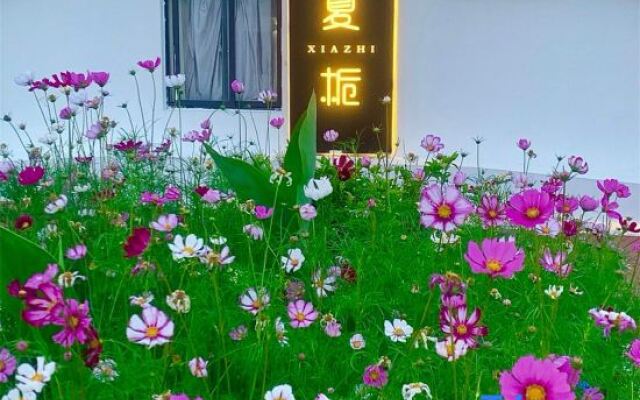 Xiazhi.dishini homeparty qingshe dujia meishu