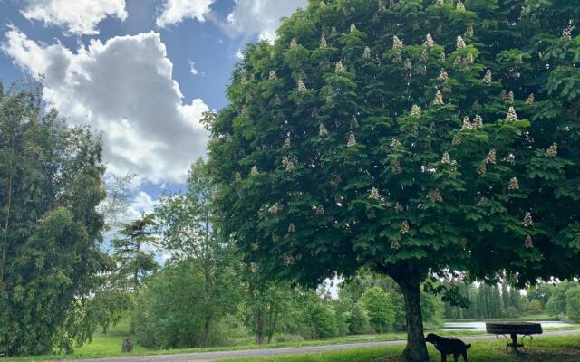 Domaine Du Pont Salmois