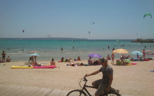 Bari