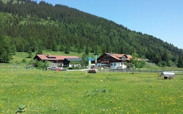 Haflingerhof - Kematsried