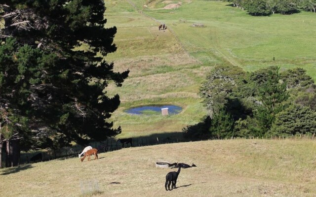 Pukeatua Farmstay